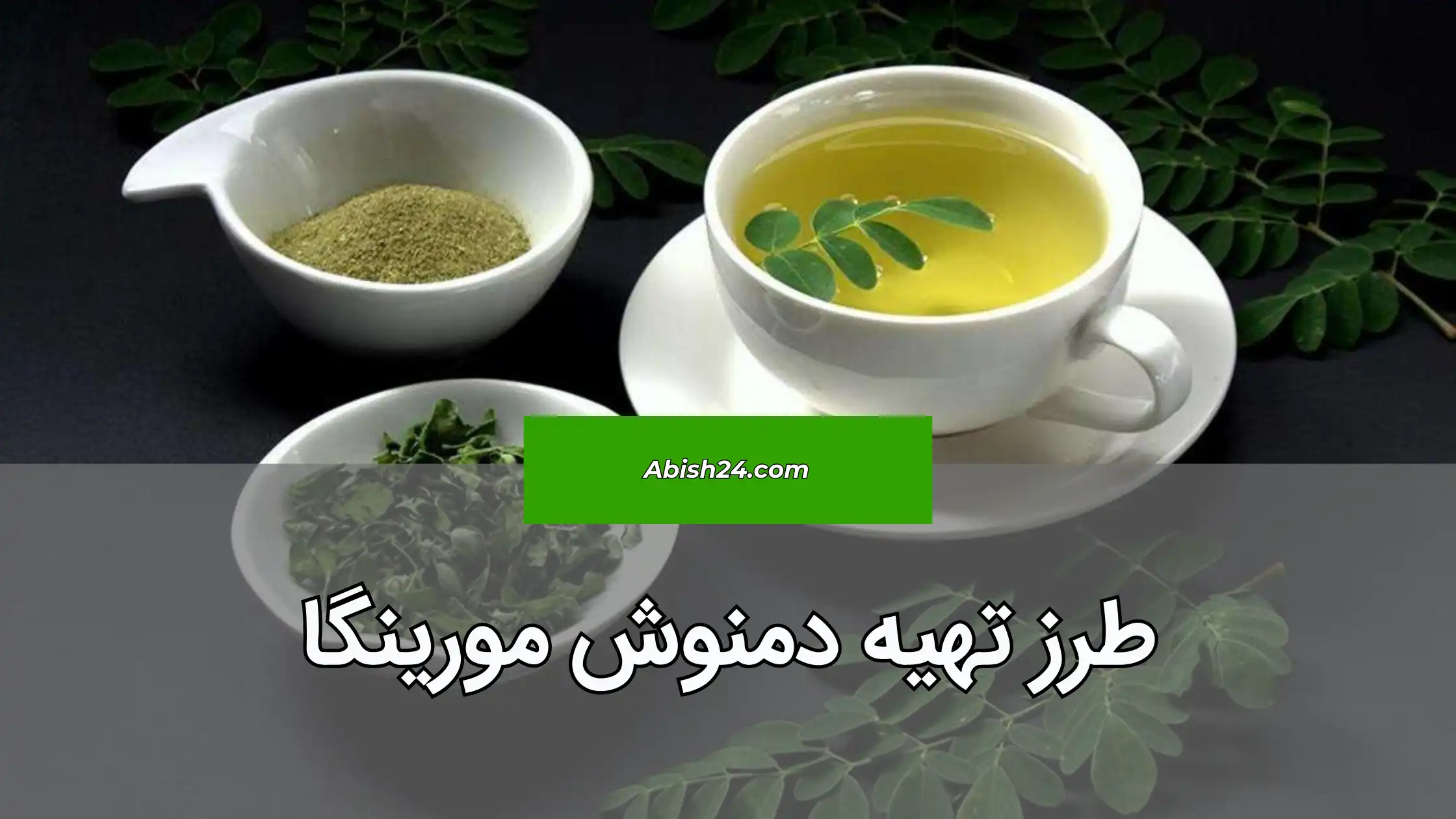 چای مورینگا بهترین روش مصرف این گیاه است